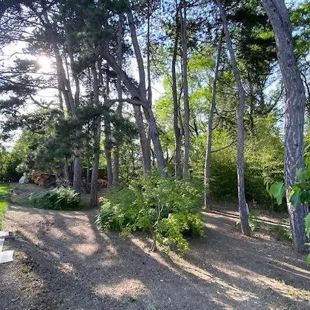 Maison A Avec 2000m2 De Terrain Arbore Valréas