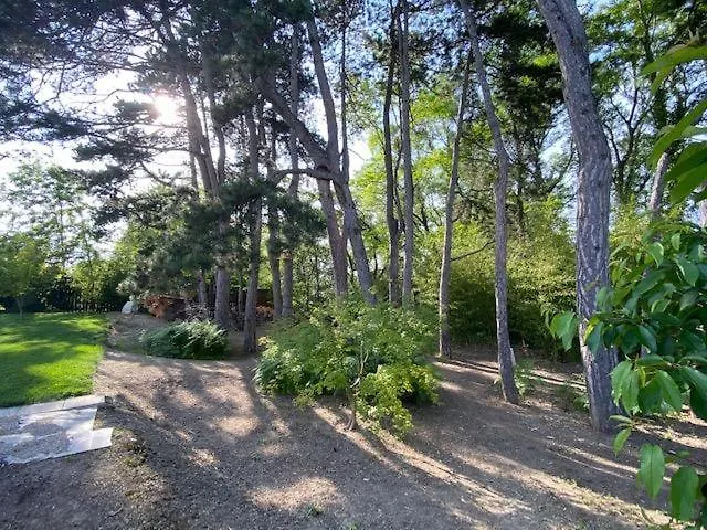 Maison A Avec 2000m2 De Terrain Arbore Valréas