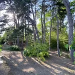 Maison A Avec 2000m2 De Terrain Arbore Valréas