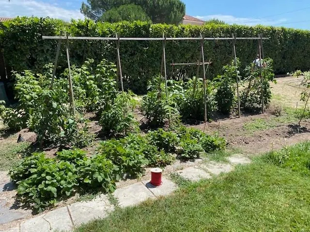 Villa Maison A Avec 2000m2 De Terrain Arbore